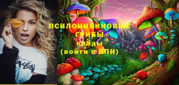 круглые Алексеевка