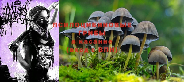 метадон Алзамай