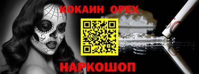 гашик Моздок