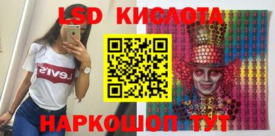 гашик Моздок