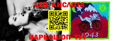гашик Моздок