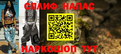 гашик Моздок