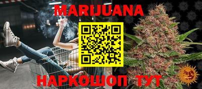 гашик Моздок