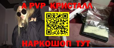 гашик Моздок