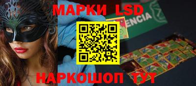 гашик Моздок