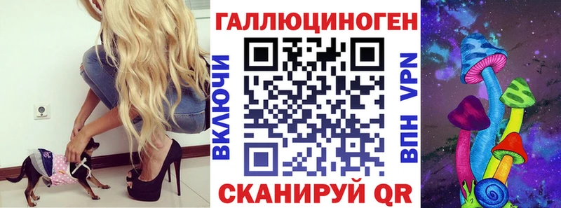 Псилоцибиновые грибы Psilocybine cubensis  Сарапул 