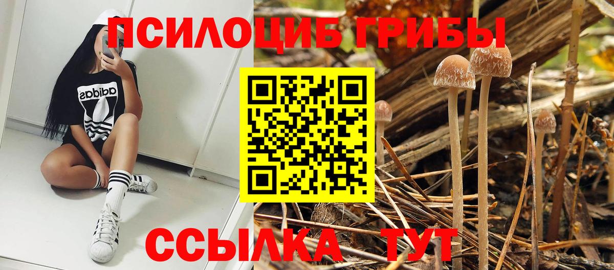 Галлюциногенные грибы мухоморы  Вход с VPN  Сарапул 